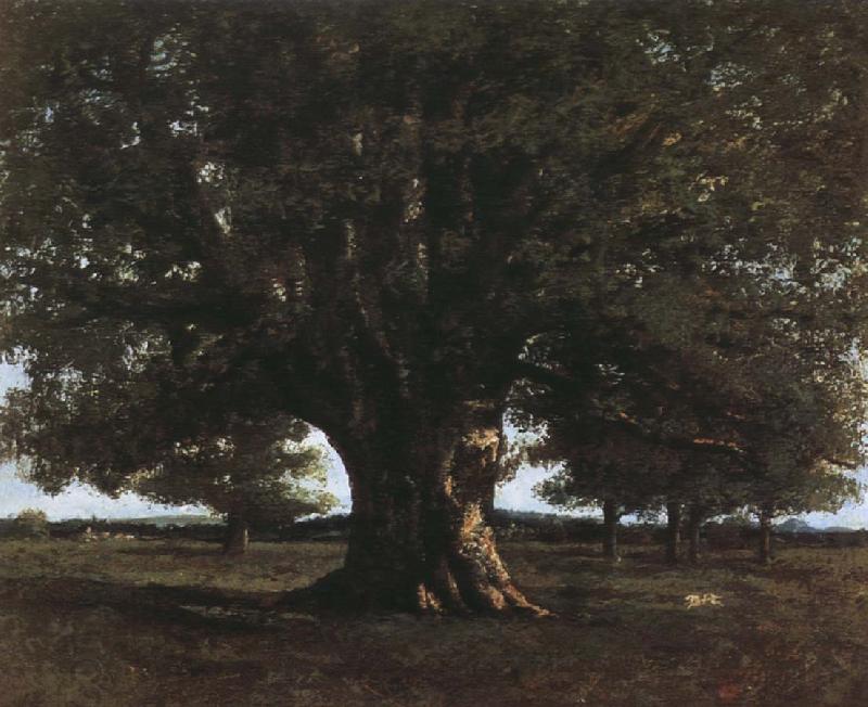 Gustave Courbet Tree oil painting picture